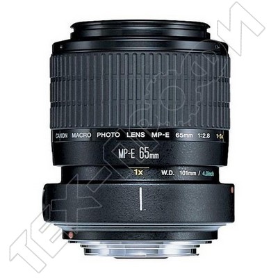  Canon MP-E 65mm f/2.5 1-5x Macro