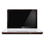 Ремонт ноутбука IdeaPad Y450