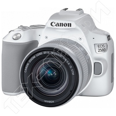  Canon EOS 250D