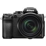 Ремонт Nikon DL24-500